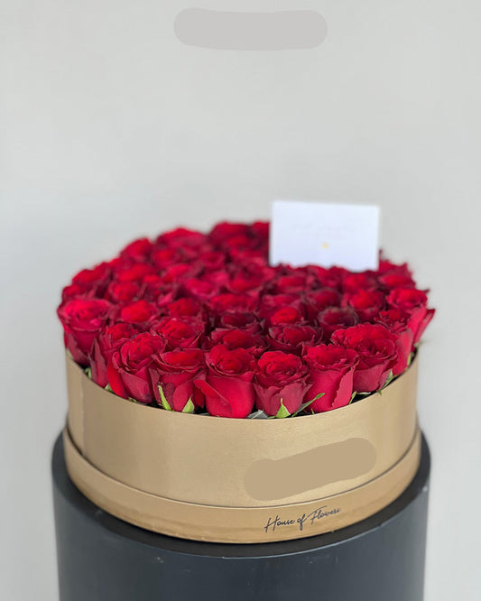 Grand Crimson Rose Velvet Box Arrangement