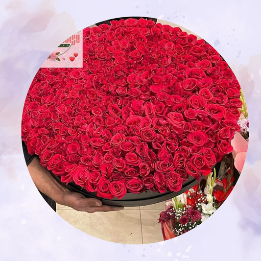 200 Red Rose Love flower