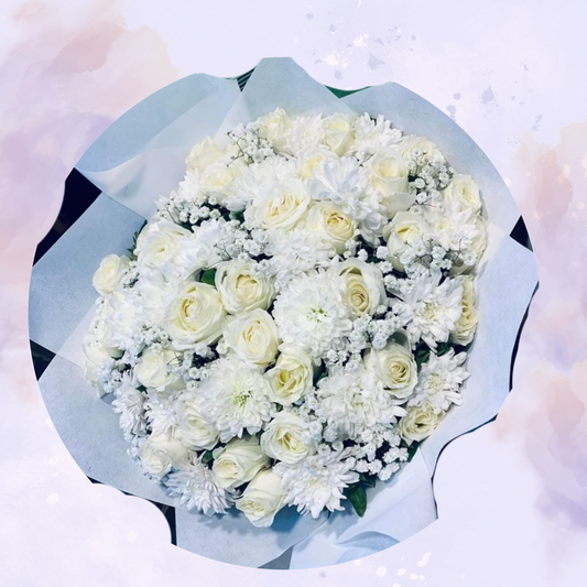 white Love Rose