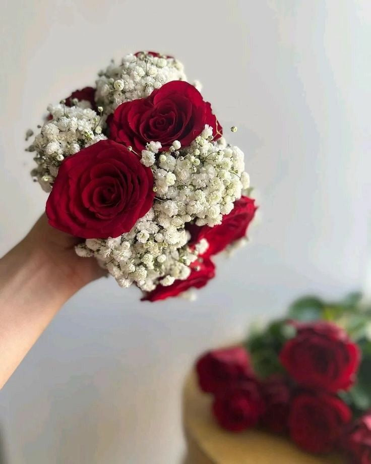 Fresh Red roses with baby’s breath Gajry