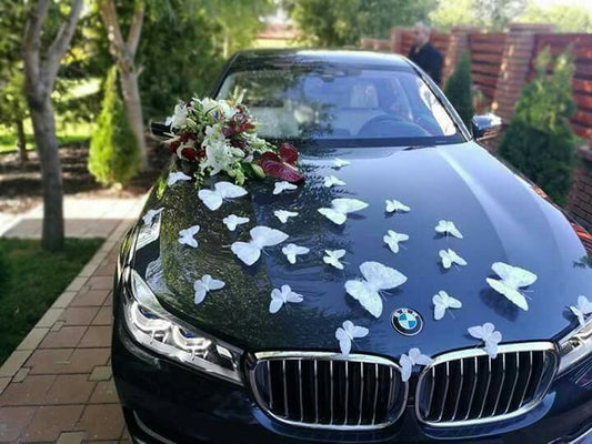 Customized Car Decoration at Home